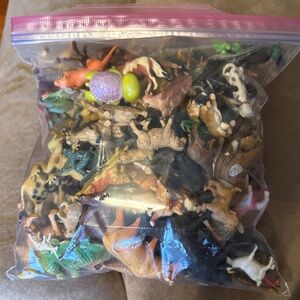 Source Unknown Colorful Small Pet Toys Collection